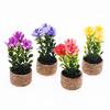Artificial Plants for Room Mini with Vase, Small Fake In Handwoven Seagrass Indoor Greenery Baskets, Realistic Faux Floral Arrangement Shelf