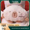 Explosion-Proof Rechargeable Plush Hot Water Bottle: Cute, Warm Hand & Belly Warmer for Girls’ Dormitory