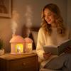 Creative House Double Nozzle Humidifier Desktop Home Bedroom Warm Light Atmosphere Lamp Mist Maker Cute Pet Design Portable