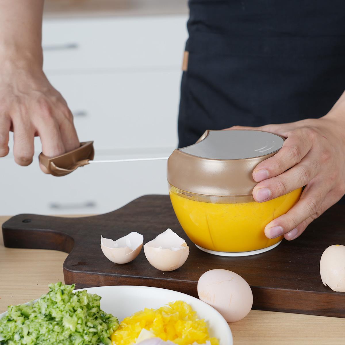 Manual Vegetable Chopper 420 Stainless Steel Blade Food Chopper with Container Lid Scraper for Chopping Vegetables