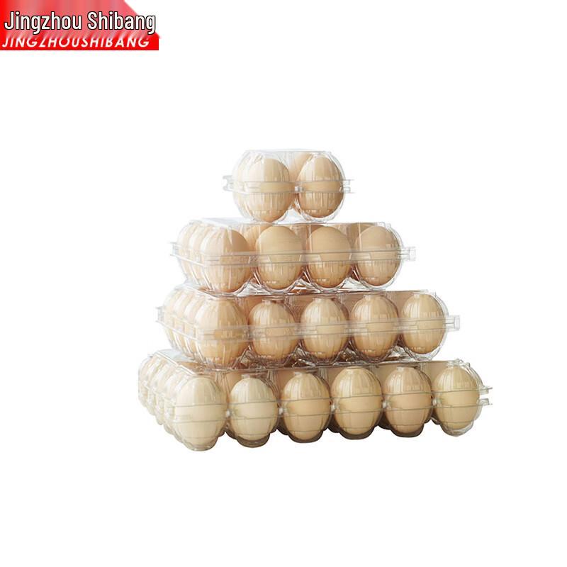 Disposable Transparent PET Egg Cartons