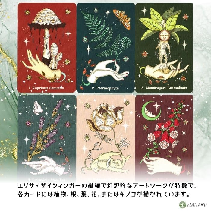 Herbarium Oracle Cards Instruction Manual Authentic Plant Magic (Japanese Included)
