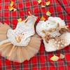 Pet dog clothes Autumn Winter Fluffy Deer Vest Dress Handmade for Small Medium Dogs Photography Costume for dog Cat Dog Set