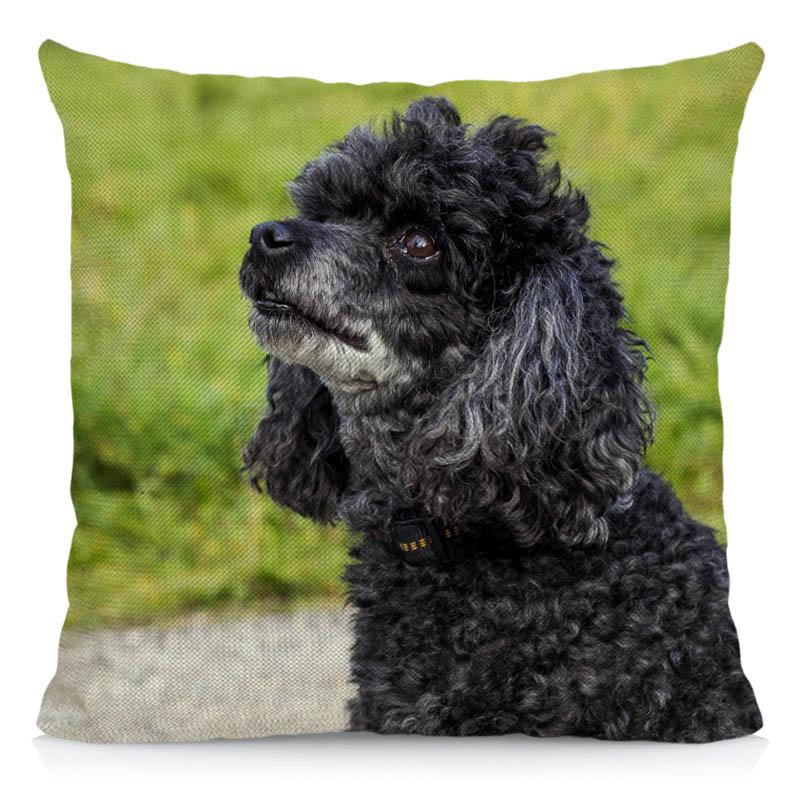 45x45cm Poodle Dog Pillow Cover Animal Cushion Cover Living Room Decoration Polyester Square Pillowcase