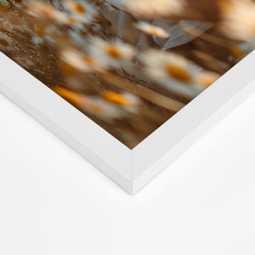 GIFT GARDEN Photo Frames, A3 Size, Lightweight, Wall-Mounted, White, Set of 3