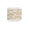 Rivere Cushion Covers, Set of 5, 55 x 59 cm, 100% Cotton, Washable Quilted, Beige