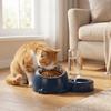 2 In 1 Cat Double  Bowl Large Capacity Cat Water Dispenser Cat Feeder Bowl  Daily Pet Feeding