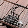 Camping Holder Stainless Steel Folding Grills Backpacking Stove Metal Texture for Camping with High Load Capacity