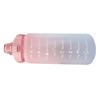Straw Bottle Leakage Proof Frosted Gradient Color One Click Open Sports Water Cup with Handle Clear Scale 2000ml Pink