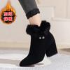 Women Snow Boots Fashion Pointed High Heels Boots Suede Casual Ankle Boots for Women Winter Fur Short Boot Botas Invierno Mujer