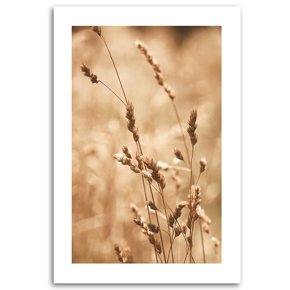 Canvas Print, Grass Nature Meadow
