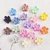 Korean & Japanese Style Frosted Flower Hair Claw Clip for Children – Hyuna Inspired Candy Colors