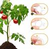 Clips for Tomatoes, Bean Plants, Shoots, 50 Pieces