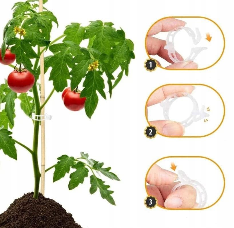 Clips for Tomatoes, Bean Plants, Shoots, 50 Pieces