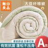 A-class Double Soybean Quilt Antibacterial Autumn and Winter Quilt with Multiple Specifications of Thickened Single and Double Core