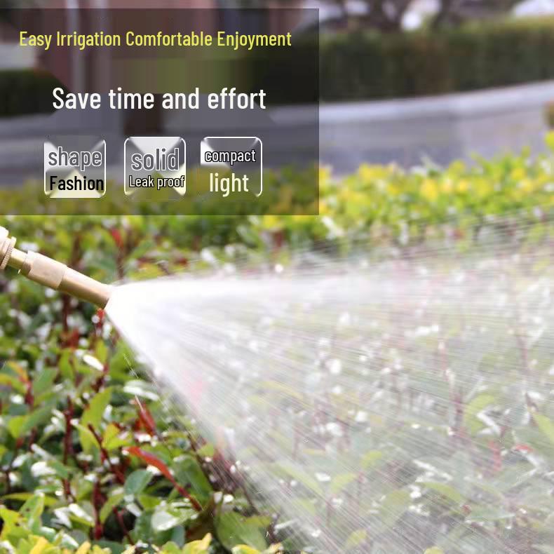 High-Pressure All-Copper Car Wash Spray Gun Set with Hose and Nozzle