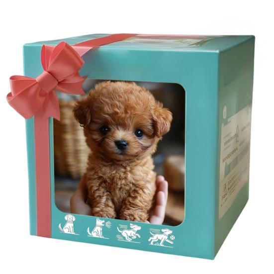 Plush Sitting Koala Simulation Soft Stuffed Animal Cozy Dog Panda Koala Plush Doll for Children Christmas Gifts