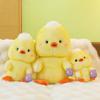 Cute Little Cute Duck Plush Toy Duck Doll New Grab Machine Doll Wedding Throwing Doll Children's Gift