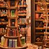 Bibliotheks-Vignette mit Licht DIY Holzbausatz Beleuchtete Miniatur für Bastler, Erwachsene,