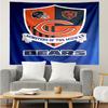Chicago Bears  Tapestry Accessories Playroom Tapestry, for Bedroom,Livingroom, Dormitory Room Wall Decor Fan Birthday Gifts