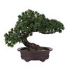 TENDYCOCO Potted Pine Tree, House Welcome Pot Plant, Fake Green, Adornos Para Mesa De Desk Topper, Factory Pine Tree, Artificial Bonsai, Decorative, O