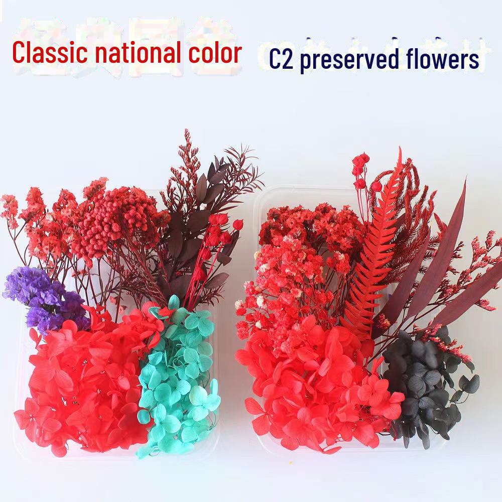 Kit DIY Fleur Éternelle: Cadre photo de fleurs séchées, éventail rond, bouteille flottante, composition florale réelle pour la décoration du salon ou de la maternelle.