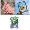 13 Dried Flowers Plants for Gift Packaging, Art Accessories, Epoxy Resin Jewelry Craft Materials,