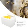 Foam Queen Box Bee Mating Foam Beehive Queen Cage Mini Queen Rearing Boxes for Beekeeping