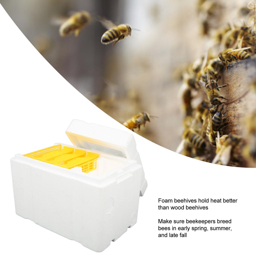 Foam Queen Box Bee Mating Foam Beehive Queen Cage Mini Queen Rearing Boxes for Beekeeping