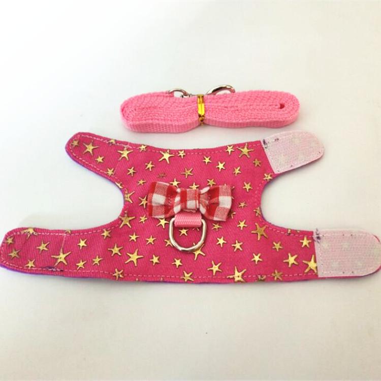 Adjustable Leash and Harness for Small Pets: Rabbit, Chinchilla, Ferret, Squirrel, Hamster, Guinea Pig, Mouse