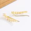 14K Gold Plated Exquisite Zircon Stud Earrings for Women Trendy Earring Party Jewelry Gifts