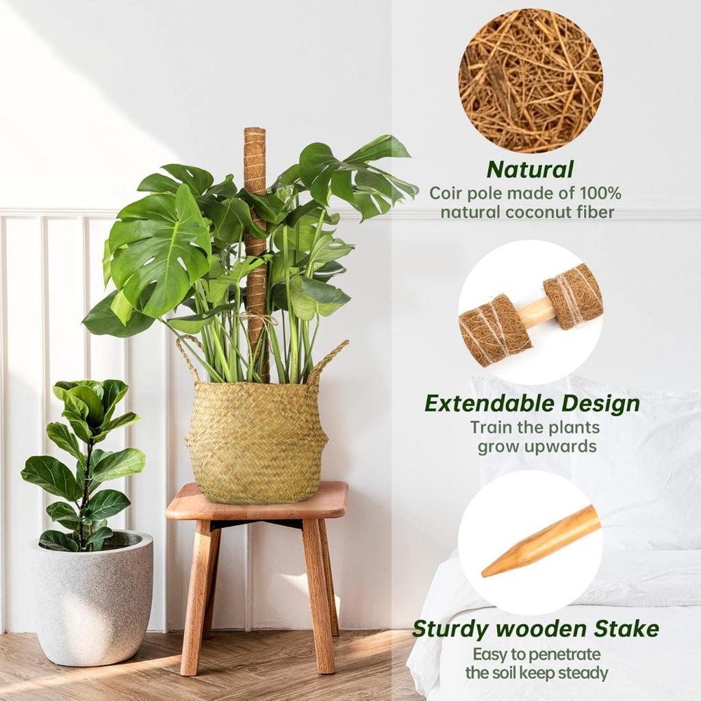Moss Stick Plant Pole Monstera 30cm for Climbing Plants Coir Totem Plant Support for Indoor Potted Plants Train Creeper Plants Grow Upwards