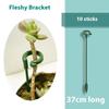 10pcs Plant Support Frame Succulent Support Rod Phalaenopsis Orchid Stand Potted Plant Anti Falling Fixed Support Frame