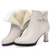 Autumn/Winter Women's Stiletto Ankle Boots - Pointed Toe, Small Heel, Plus Velvet