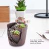 House Shape Flowerpot, Succulent Plant Pot, for Garden Succulent Decor  Pots Home Desktop
