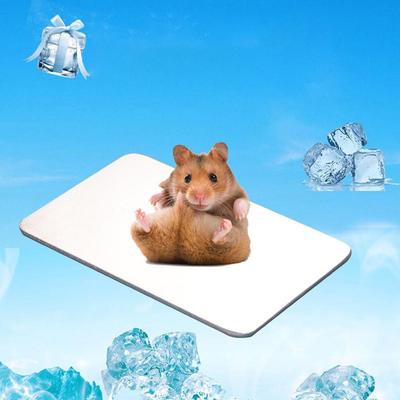 Aluminum Pet Cooling Plate Heat-dissipating Smooth Hamster Cooling Pad Non-electric Fast-cooling Rabbit Cooling Plate