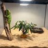 Fake Plants For Reptiles Fake Realistic Greenery Bearded Dragon Artificial Leaves For Freshwater Desert Fish Turtle Betta Gecko