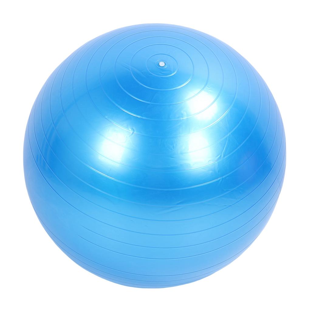 Extra Thick Exercise Ball PVC Anti Burst Inflatable Gym Ball with Pump for Pilates Balance Stability Core Workout