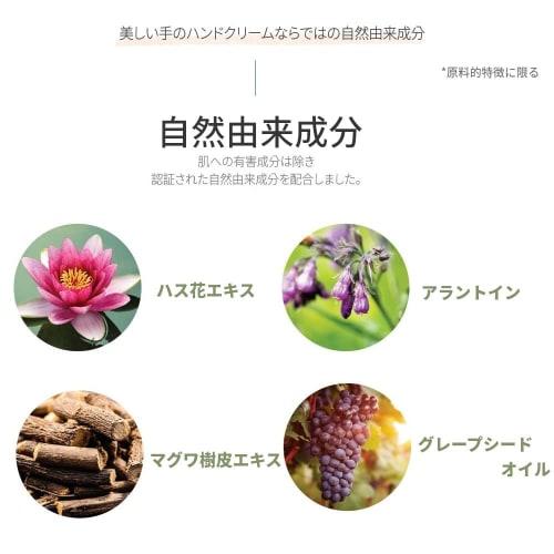 [Korean Cosmetics] Kounsung Hand & Nail Cream 90g "Kounsung = Beautiful Hands" Contains Urea, Betaine, Hyaluronic Acid, and Other Natural Ingredients