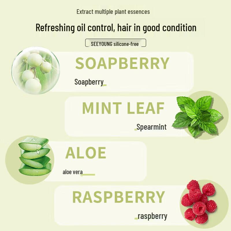 Seeyoung Soapberry & Tea Seed Oil Control Shampoo Duo