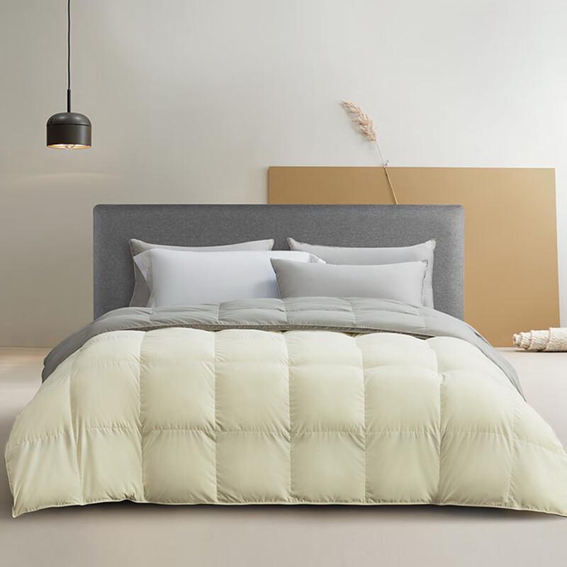 Mercure Home Textiles Antibacterial White Goose Down Winter Quilt