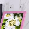 Yousheng 10Pcs Drill Free Adhesive Hooks Strong Load-bearing Waterproof Easy To Install Picture Hangers Wall Mount Screw Hooks