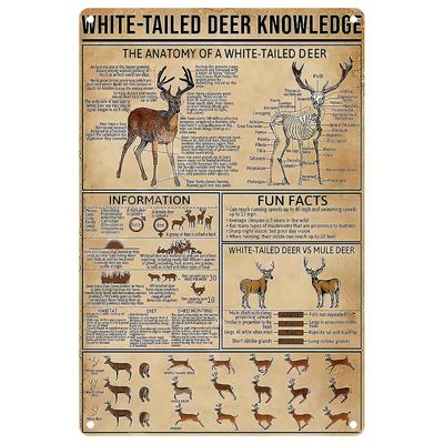 1pc Metal Tin Signs White-Tailed Deer Knowledge Hunting Knowledge Poster Farmhouse Farm Home Kitchen Club Wall Decor 8x12 Inches