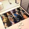 Detective Conan Print Rug, Washable Floor Carpet, For Entryway Dorm Laundry Room Office Study, Home Decor Birthday Christmas Gift