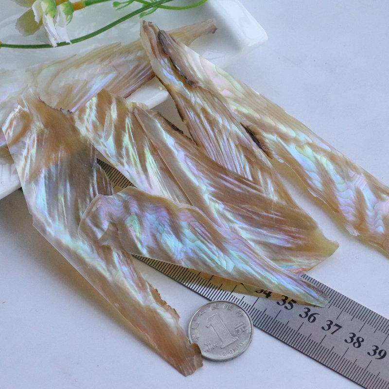 Iridescent Abalone Shell Inlay: Decorative Lacquer Pieces for Musical Instruments and Nail Art.