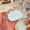Pudding Cat Mochi Squishy Squeeze Stress Relief Party Prop Cheese Kitty Squishy Tabas Stress Ball Soft Fidget Gift Party Favors
