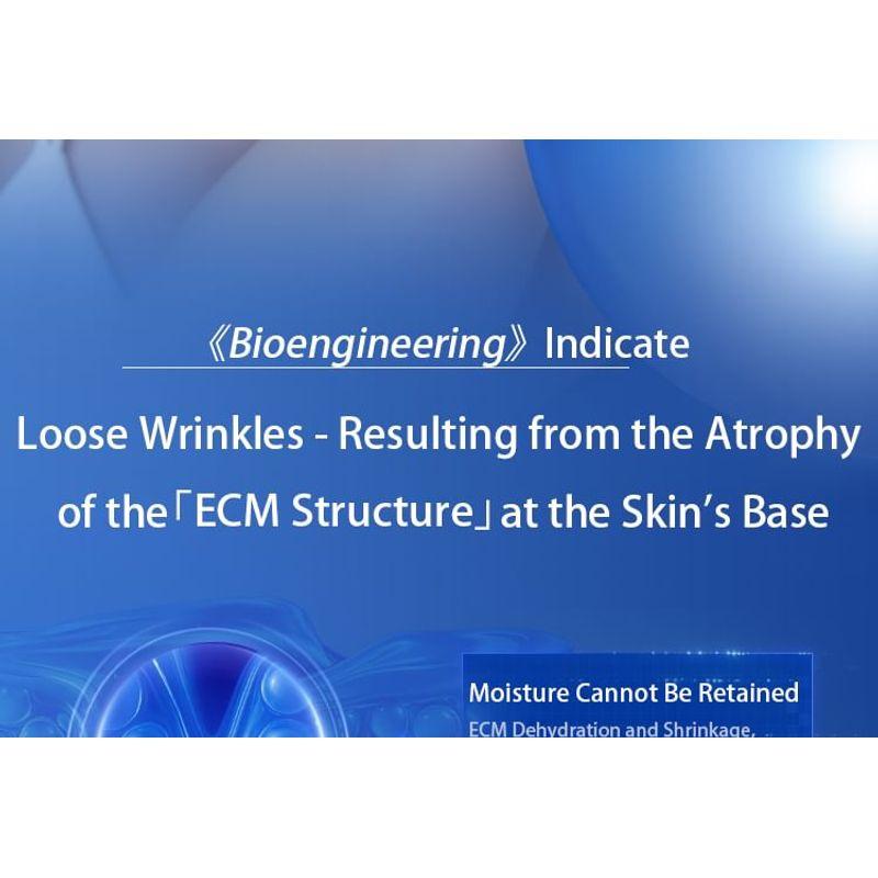 PROF.LING - Youth-Active Elastic Lotion