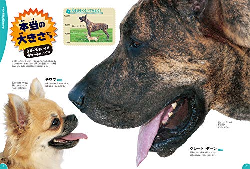Dogs, Cats, and Pets (Gakken's Illustrated Encyclopedia LIVE)