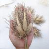 Mini Dried Flower Bouquet, Gypsy Rabbit Tail Reed Gift Box Car Decoration Wedding Corsage Souvenir Dried Flowers