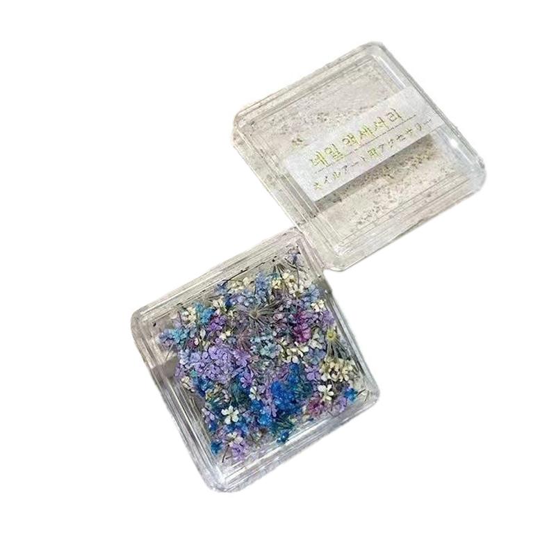 1Box Nail Art Flower Decoration Delicate 3D Dried Flower Nail Art Decorations Exquisite Nail Art Beauty For Charms Accessories